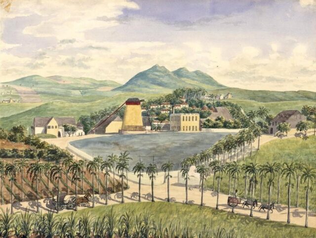 Painting shows a windmill and sugar works, slave houses on the hill about the plantation yard, and a pond in the foreground. 